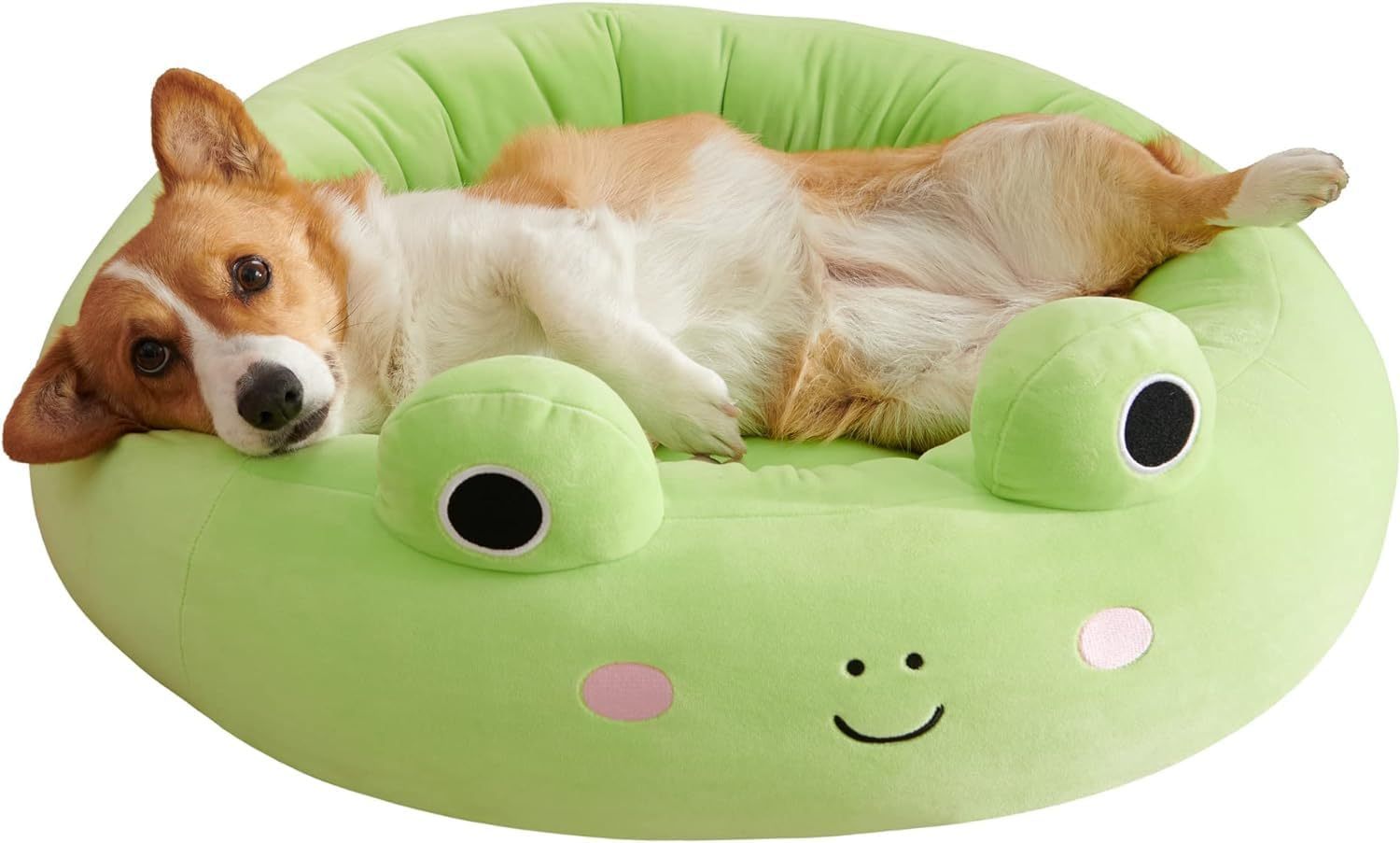 Dive into Comfort: The Shark Pet Bed Your Furry Friend Deserves!